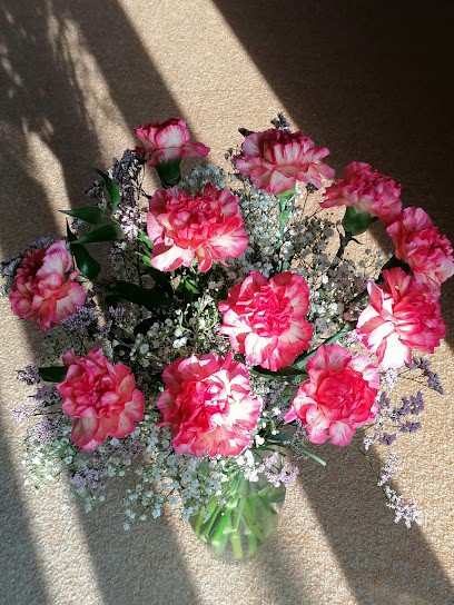 Blumen Turba Inh. Melanie Pommer-Horand, Blumenladen in Gailingen am Hochrhein