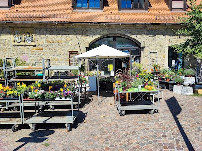 Blumen Am Schloßhof, Blumenladen in Schwieberdingen