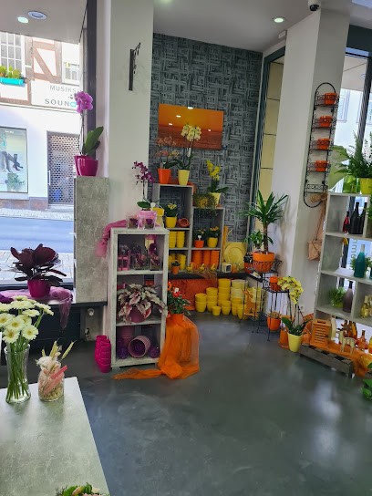 Blumenladen Das Gänseblümchen, Blumenladen in Usingen