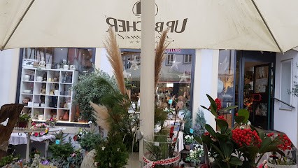 Blumen Schmid, Blumenladen in Waiblingen