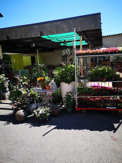 Blattwerk Floristik, Blumenladen in Schönaich
