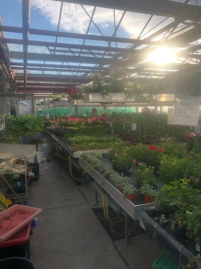 Gärtnerei Gabler Legau, Blumenladen in Legau