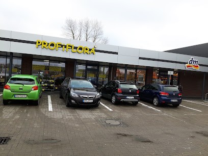 PROFiFLORA, Blumenladen in Stralsund