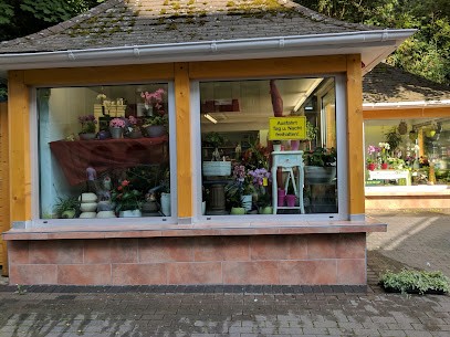 Blumen Dörfler, Blumenladen in Wetzlar
