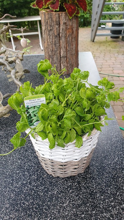 Staudengärtnerei, Blumenladen in Wees