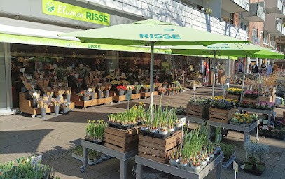Blumen Risse Blumenladen Münster-Hiltrup, Blumenladen in Munster