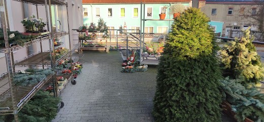 Blumenhaus Witschel Inh. Annett Witschel, Blumenladen in Ottendorf-Okrilla