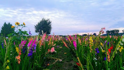 Blumenhaus Koth Inh. Christina Schulz, Blumenladen in Grevesmühlen