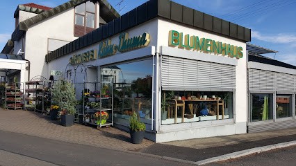 Gärtnerei und Blumenhaus Kuhn-Thuma, Blumenladen in Schwäbisch Gmünd