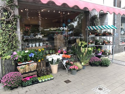 Blumen Dreyer, Blumenladen in Duisburg
