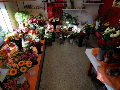 Blumen Kaufmann, Blumenladen in Olching