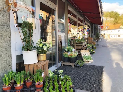 Die Blume | Blumen, Dekoration, Sträuße, Blumenladen in Blaustein