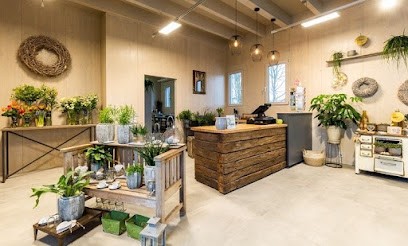 Wildkraut NATÜRLICH BLUMIG, Blumenladen in Mahlberg