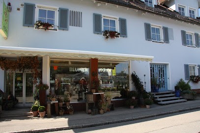 Gärtnerei Höhn, Blumenladen in Bechhofen