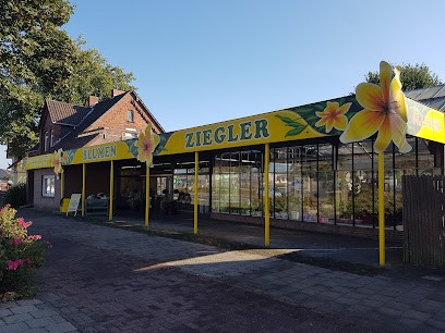 Blumen Ziegler, Blumenladen in Nienburg