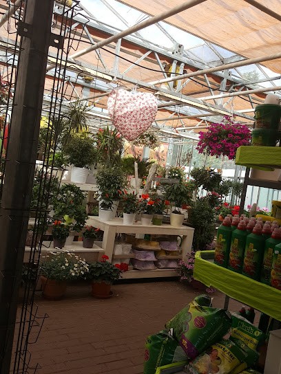 Gärtnerei Meier, Blumenladen in Waltershausen