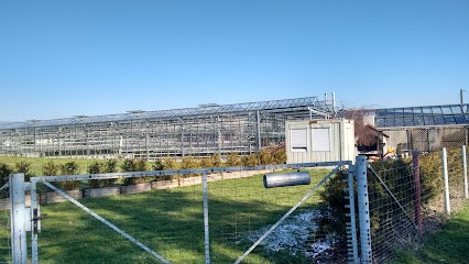 Klaus Dieter Stellmacher Friedhofsgärtnerei, Blumenladen in Korntal-Münchingen