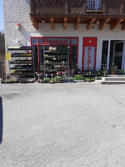 Blumen Trattner, Blumenladen in Kiefersfelden
