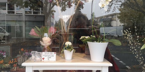 Blumen Iburg, Blumenladen in Köln