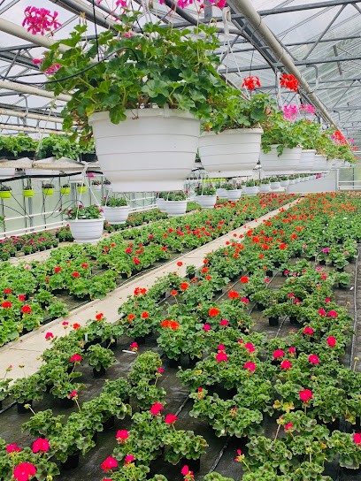 Blom Gärtnerei, Blumenladen in Ibbenbüren