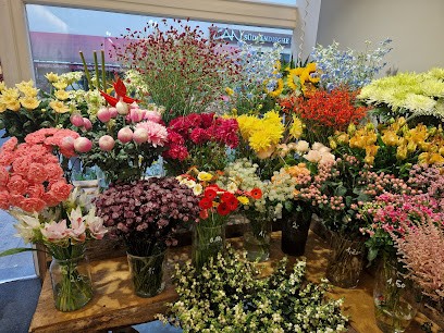 Flora Fantastisch, Blumenladen in Köln