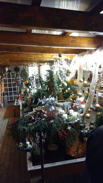 Gärtnerei Lang, Blumenladen in Langfurth