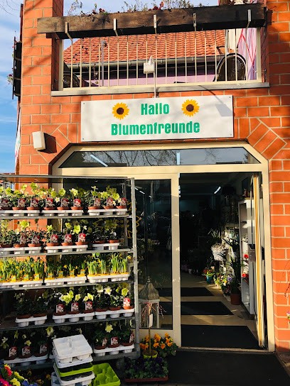 Hallo Blumenfreunde, Blumenladen in Niestetal