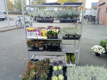 Schierz Blumen OHG, Blumenladen in Perleberg