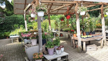 Blumen & Pflanzenmarkt Bremervörde Inh. H. Krüger-Riks, Blumenladen in Bremervörde