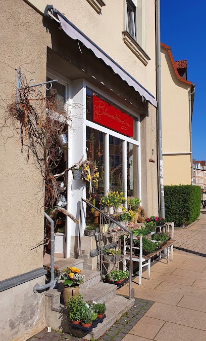 Blumenbändiger Pirna, Blumenladen in Pirna