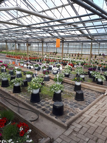 Gärtnerei Feddermann, Blumenladen in Rastede