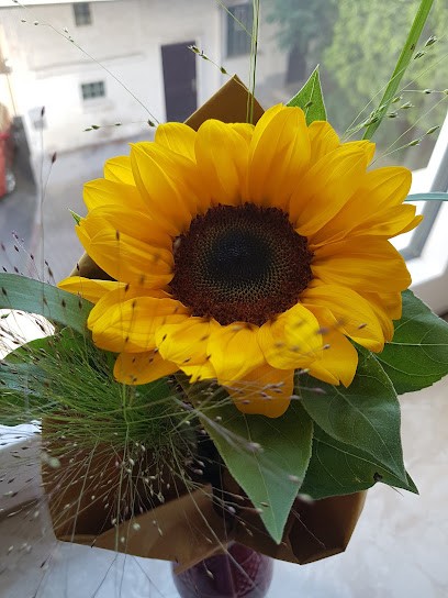 BLUMENSTIEL Inh. Barbara Szwed, Blumenladen in Bad Schwalbach