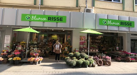 Blumen Risse Blumenladen Osnabrück, Blumenladen in Osnabrück