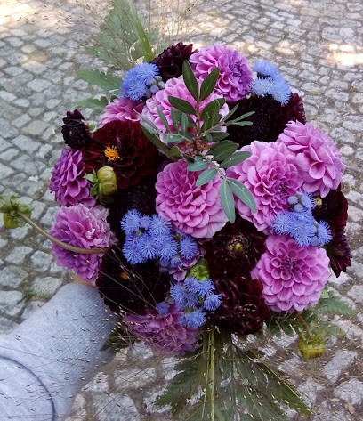 Markus Blumen Feld, Blumenladen in Oelde