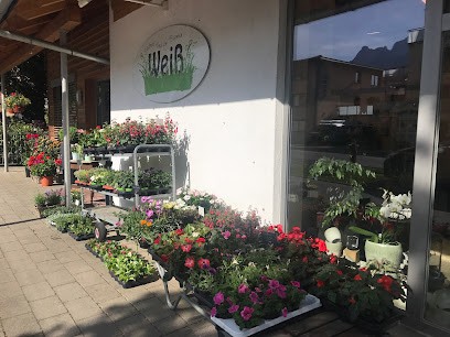 Blumen Weiß - grüner & bunter, Blumenladen in Füssen