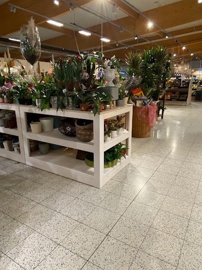 Manus Blumenstube im REWE, Blumenladen in Weisendorf