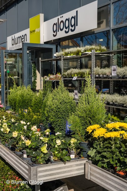 Blumen Glöggl, Blumenladen in Radolfzell