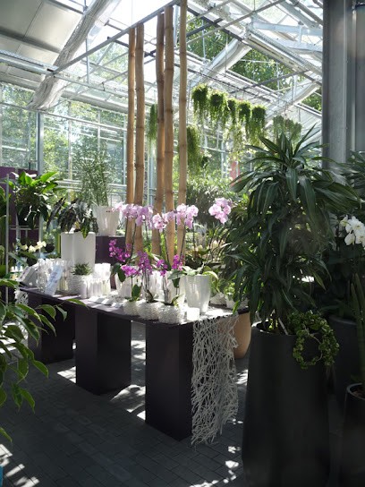 Koch & Christmann – Blumenladen Donnersbergstraße (Filiale), Blumenladen in Kaiserslautern