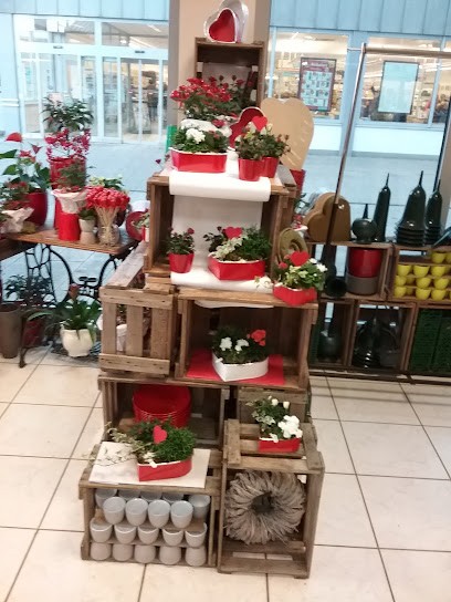 Stein Blumen, Blumenladen in Trier