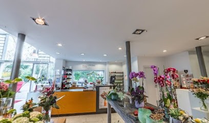 Wagner Blumenhaus - Rheda-Wiedenbrück, Blumenladen in Rheda-Wiedenbrück