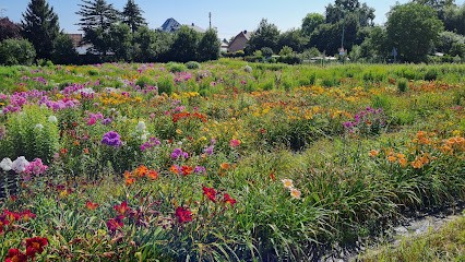 Blumen Boutique Christine Kokot, Blumenladen in Meerbusch