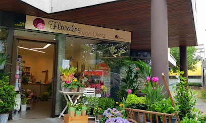Florales Von Dietz, Blumenladen in Hattersheim am Main