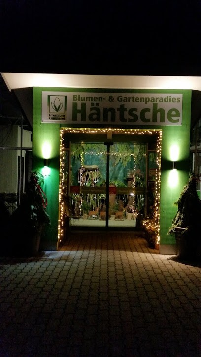 Blumen und Gartenparadies Häntsche, Blumenladen in Mindelheim