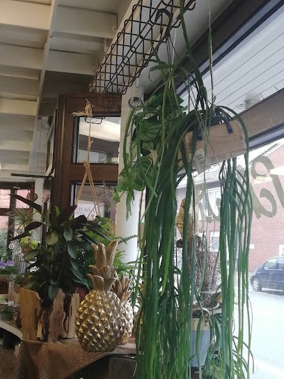 Blumen Schmitz, Inh. Margret Quas, Blumenladen in Ahlen