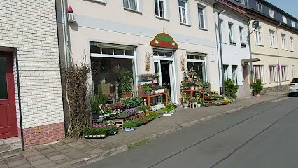 Meuche, Blumenladen in Eilenburg