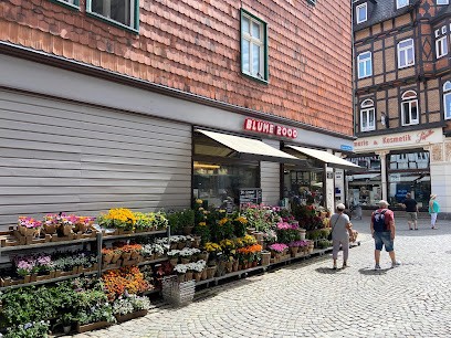 BLUME2000 Wernigerode, Blumenladen in Wernigerode