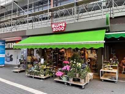 BLUME2000 Dortmund Westenhellweg, Blumenladen in Dortmund