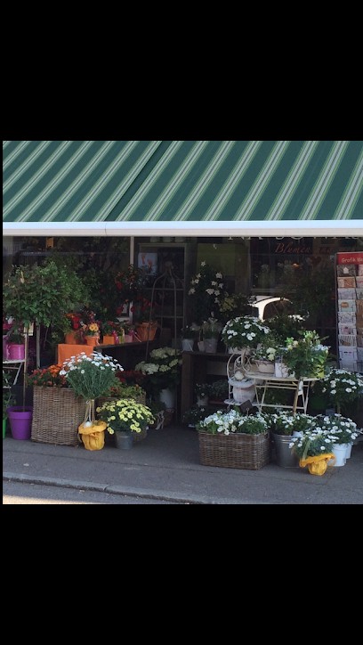 Blumen NASOWAS, Blumenladen in Schwaikheim