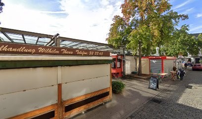 Herbstzeitlose Getis, Blumenladen in Düsseldorf