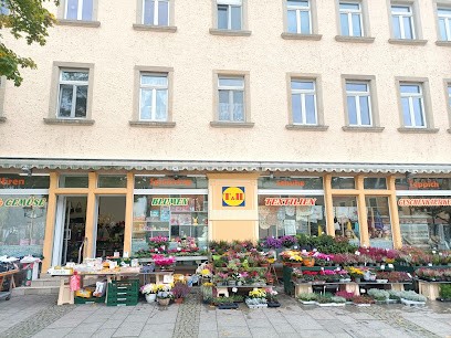 T&H, Blumenladen in Heidenau